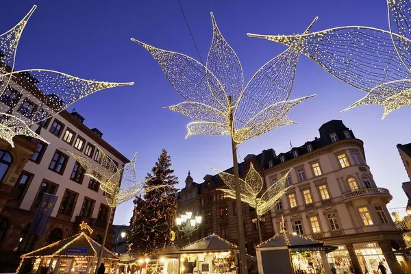 Der Wiesbadener Sternschnuppenmarkt bei Dämmerung, mit den filigranen, lilienförmigen Lichtinstallationen, die über den Weihnachtsmarkt-Buden und dem Weihnachtsbaum leuchten.